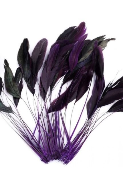 Διακοσμητικό Φτερό Πετεινού / decorative bird feather