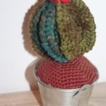 Πλεκτό κακτάκι