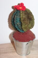 Πλεκτό κακτάκι