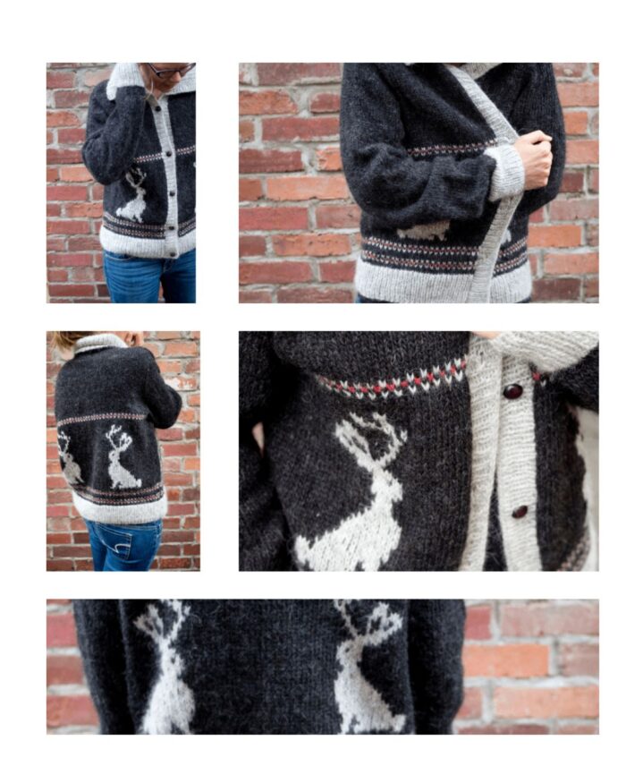Πατρόν για Jackalope Sweater - Image 2