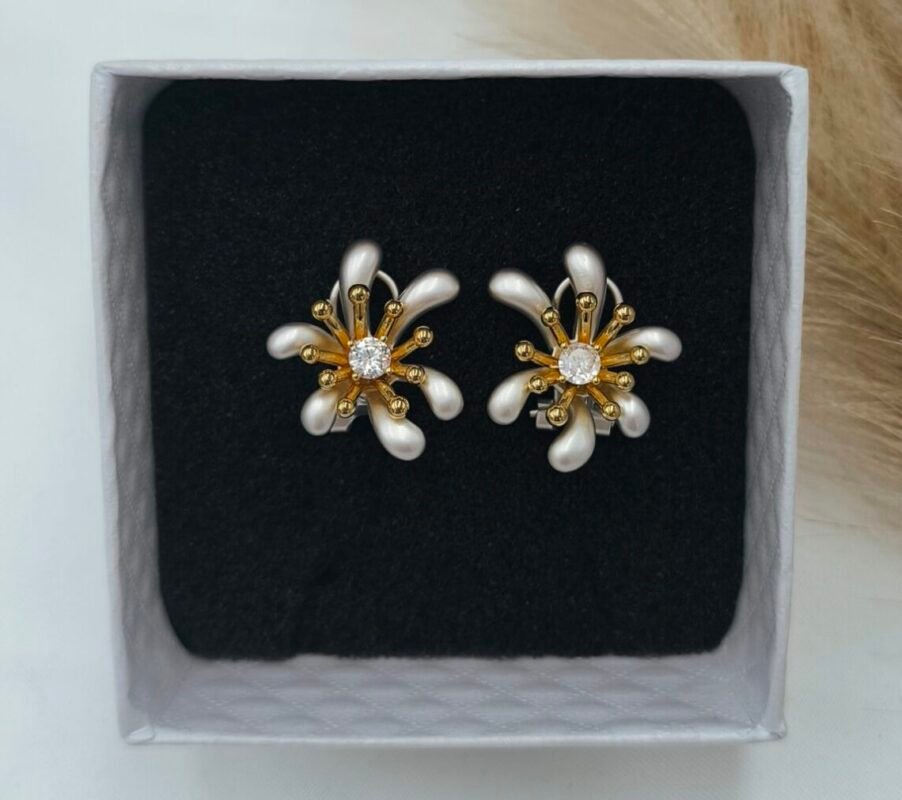 cropped IMG 20250910 150938 scaled 1