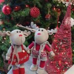 ΓΙΟΡΤΙΝΑ ΤΑΡΑΝΔΑΚΙΑ