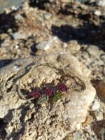 Μακραμέ βραχιόλι ποδιού μπεζ με φύλλα μπεζ-λαδί-μωβ - Image 2