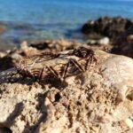 Μακραμέ βραχιόλι αστραγάλου καφέ-μπεζ