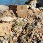 Μακραμέ βραχιόλι ποδιού μπεζ-λαδί με φύλλα