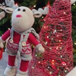 ΓΙΟΡΤΙΝΑ ΤΑΡΑΝΔΟΣ