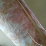 Θήκη στρώματος γυμναστικής - Image 3