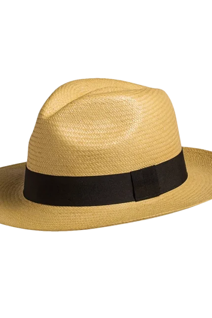 Ανδρικό καπέλο Eloy Panama Ρεπούμπλικα | Κarfil Hats Beige Capelo