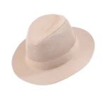 Ανδρικό καπέλο Ventair Ρεπούμπλικα | Karfil Hats Natural Capelo